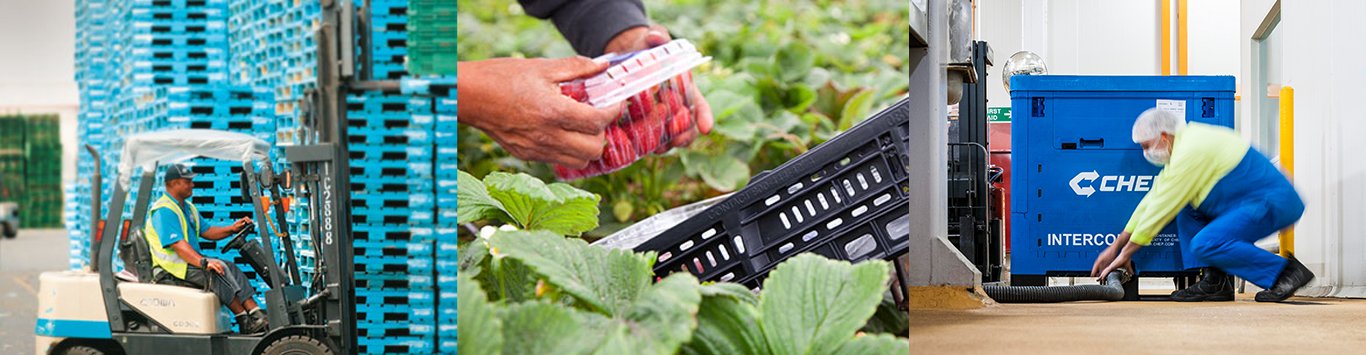 Supply Chain Solutions Supply Chain Solutions