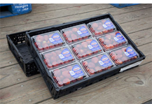 A black Reusable Produce Crate full of a dozen cartons of strawberries