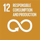 12 responsible consumption and production