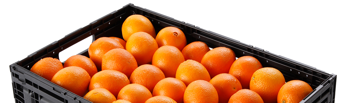 RPC full of oranges 
