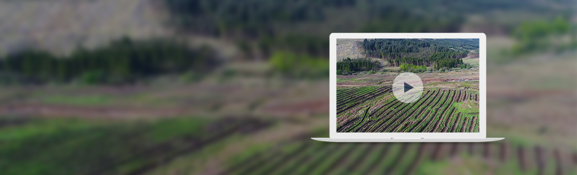 A banner image features a Macbook consisting of a screen capture from the 'Rig of Airie drone footage video' video. The screen capture consists of an aerial shot of a crop field in front of a forest of trees. The Macbook also features a play button overlay on screen. The mentioned content is overlaid on a blurred version of the same capture used on the Macbook.
