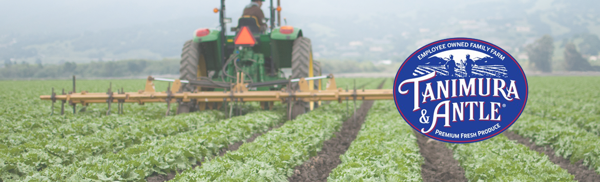 A banner image of a photograph of a tractor harvest a field of vegetation. The photograph is overlayed with the Tanimura and Antle logo.