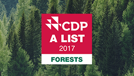 Brambles achieves CDP Forests A List