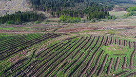 A video thumbnail image features a screen capture from the 'Rig of Airie drone footage video' video. The screen capture consists of an aerial shot of a crop field in front of a forest of trees.