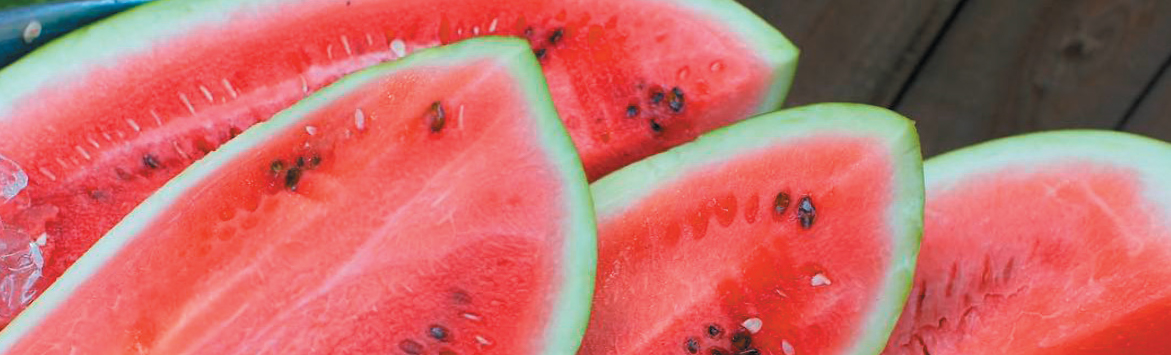 A banner image of a close-up photograph of multiple large, delicious slices of watermelon.