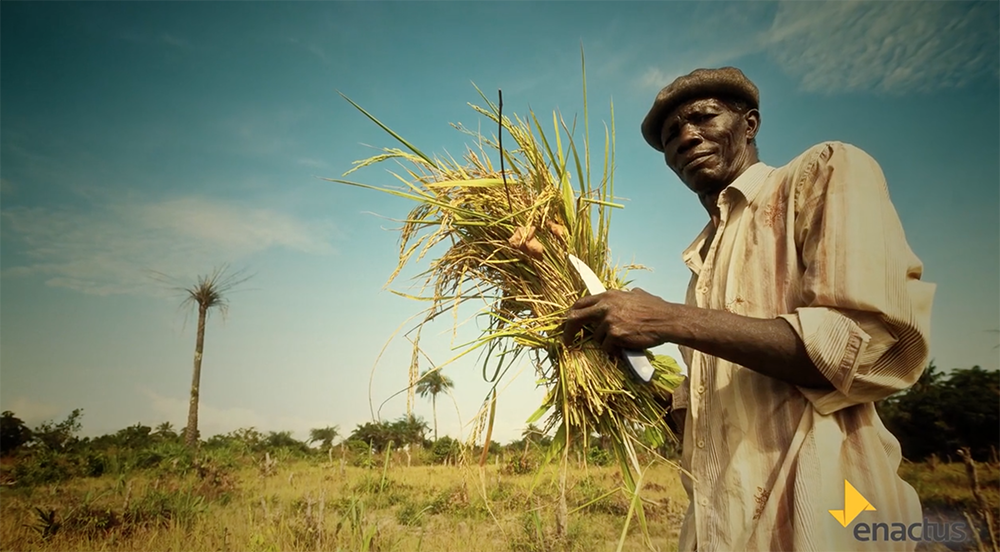 A Thumbnail image of a screen capture from the 'Brambles supports Enactus' video. The capture is a medium shot of an African man holding hay.