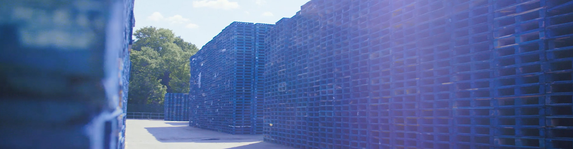 Pioneers of the circular economy A photograph of hundreds of blue stacked CHEP pallets in rows in an outside environment