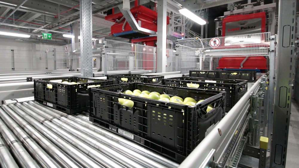 latest-news A photogA photograph of a close-up of a number of black RPCs of fruit on a moving conveyor beltraph of a close-up of a number of black RPCs of fruit on a moving conveyor belt