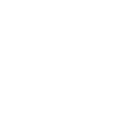 shareholder-information