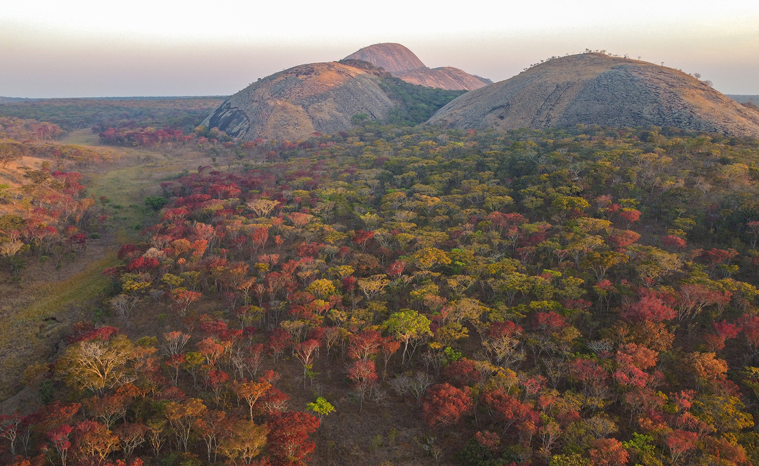 Mutinondo wilderness in Zambia’s Lavushimanda region