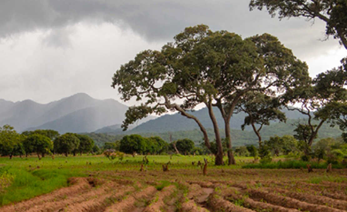 Mafinga Hills