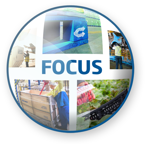 0-0-base-focus